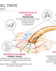 GUÍA MANUAL TECNICO NOEMI - DESCARGABLE PDF - Lash Shop Canarias
