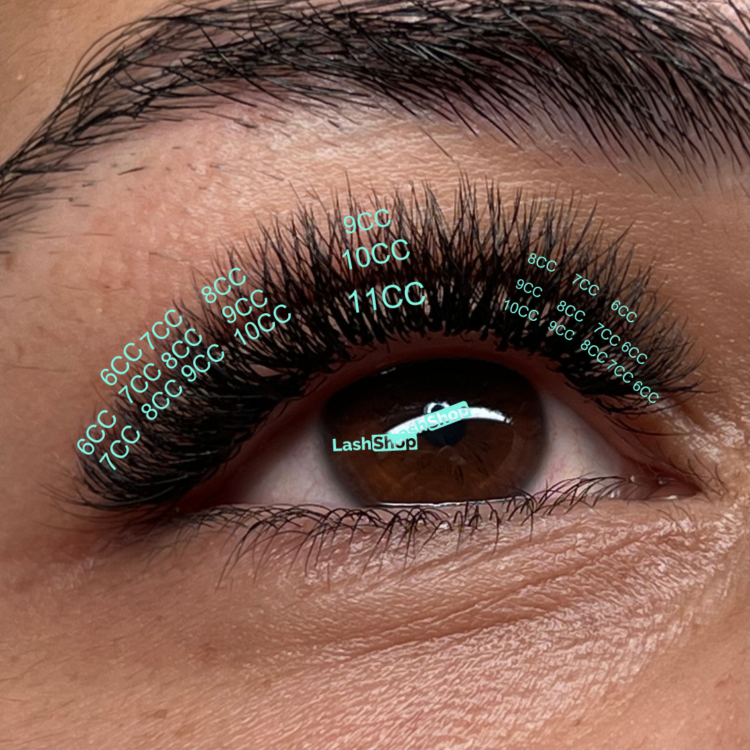 VOLUMEN EGIPCIO 4D W MINI - MEDIDAS INDIVIDUALES - Lash Shop Canarias Eyelash Extensions C / 7mm