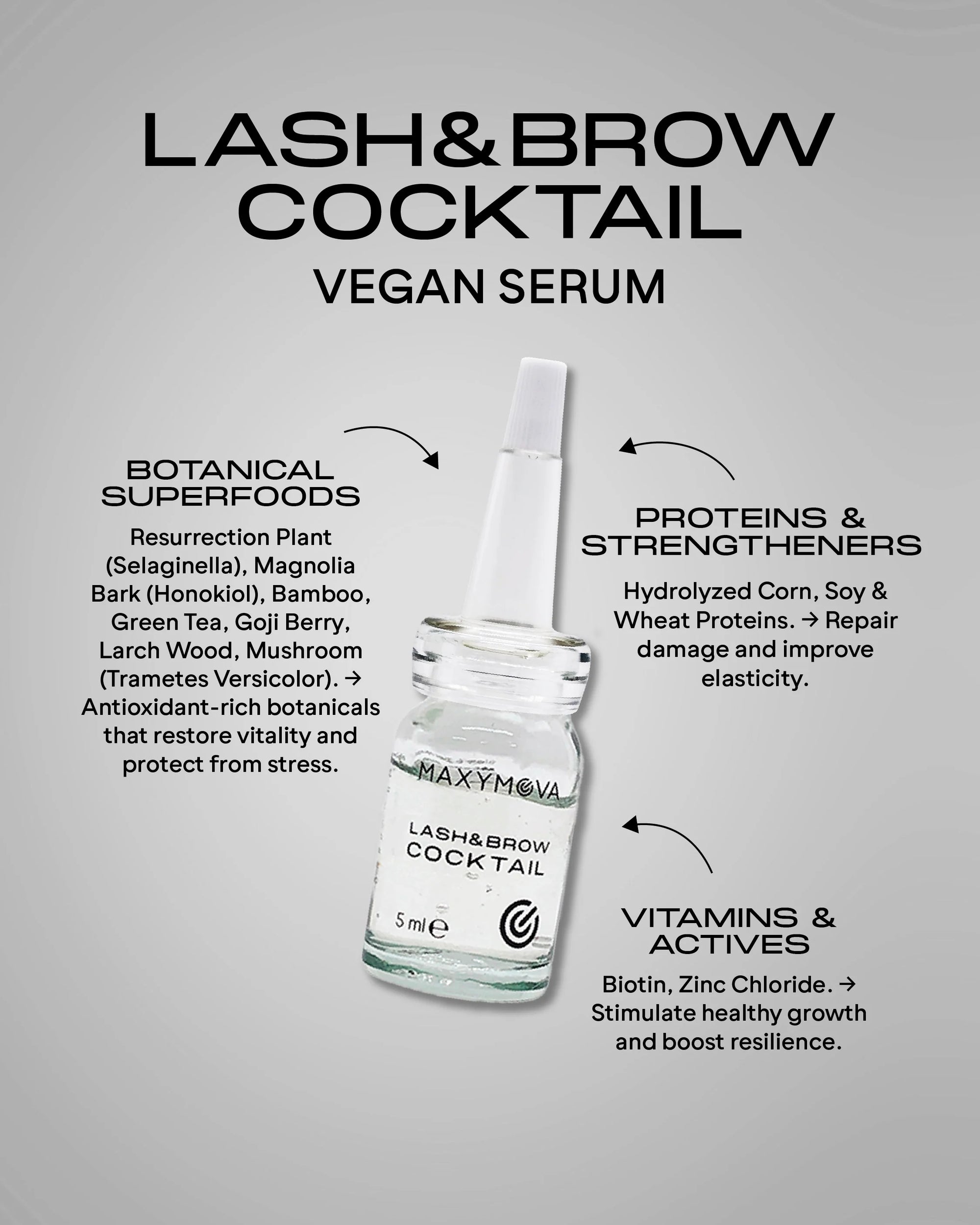 LASH&BROW COCKTAIL – Serum 5 ml MAXYMOVA