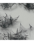 8D MEGAVOLUMEN PRO FAN - MEDIDAS INDIVIDUALES - Lash Shop Canarias