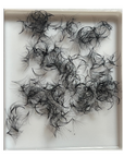 8D MEGAVOLUMEN PRO FAN - MEDIDAS INDIVIDUALES - Lash Shop Canarias