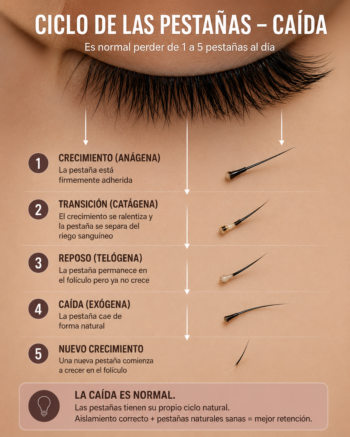 ¿Cuánto duran las extensiones de pestañas? La respuesta honesta (y cómo alargarlas)