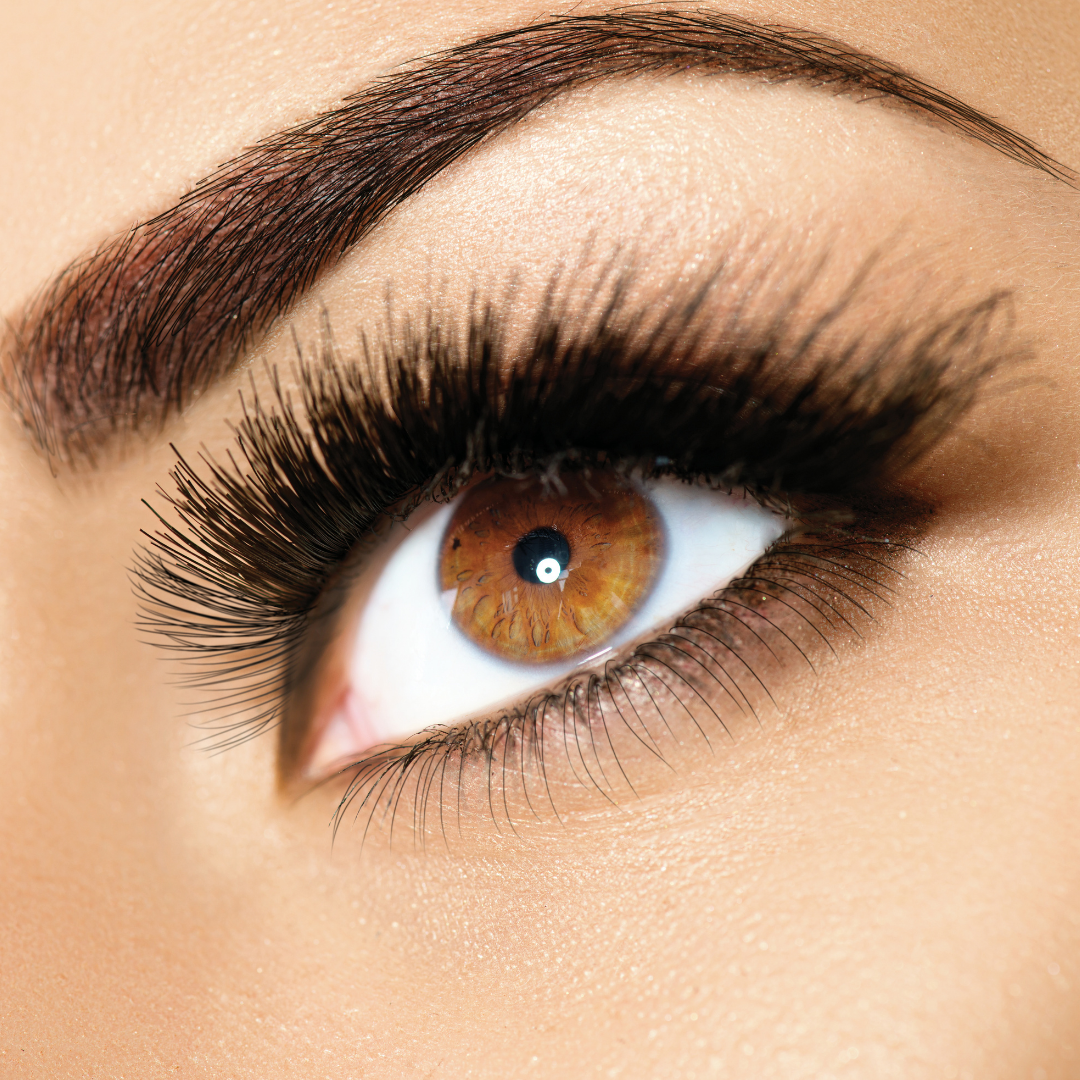 Nutrición de Pestañas y Cejas