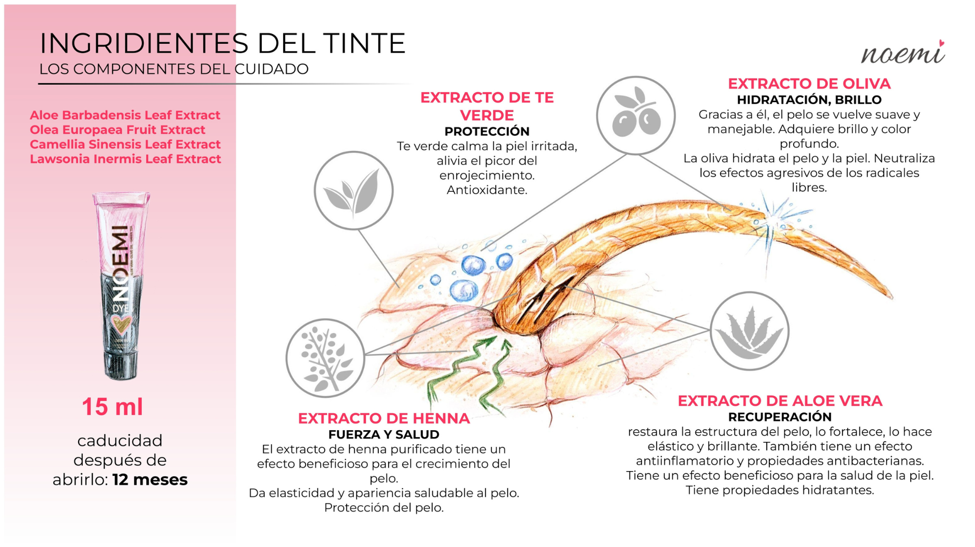 GUÍA MANUAL TECNICO NOEMI - DESCARGABLE PDF - Lash Shop Canarias