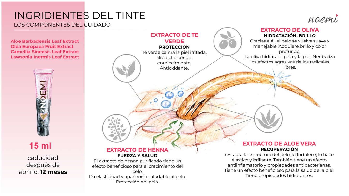 GUÍA MANUAL TECNICO NOEMI - DESCARGABLE PDF