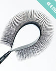 VOLUMEN 4D Forma U 0.07 - MiBeauty Box de Lashshop