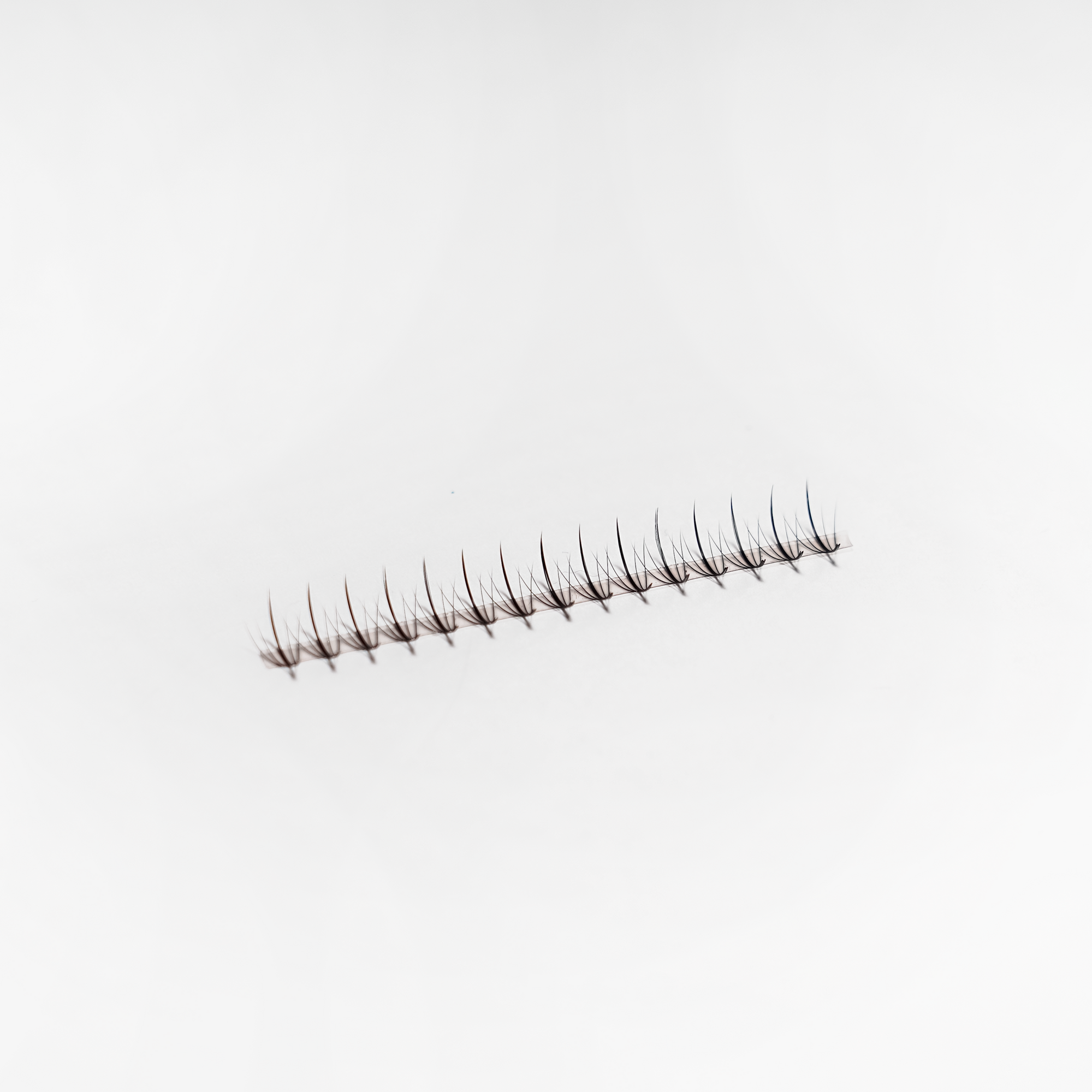 5D VOLUMEN PRO FAN - INDIVIDUAL WISPY - Lash Shop Canarias 9mm