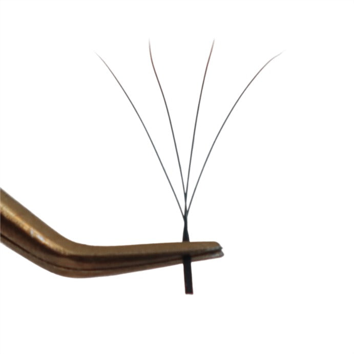 Volumen Egipcio 4D W CAJAS MIX